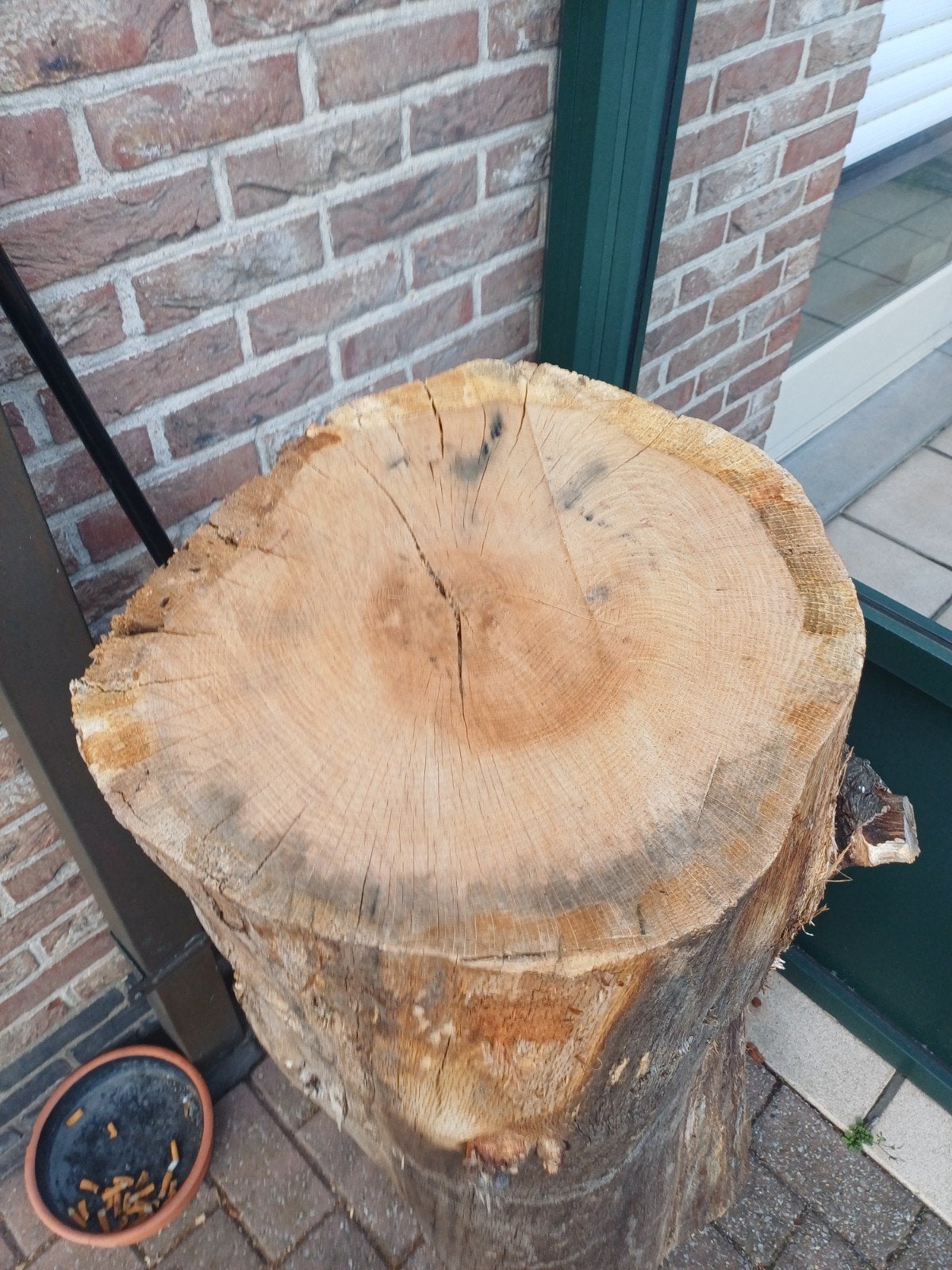 dikke vette boomstronk vol hout !!!, Minder dan 3 m³, Ophalen, Eikenhout, Stammen