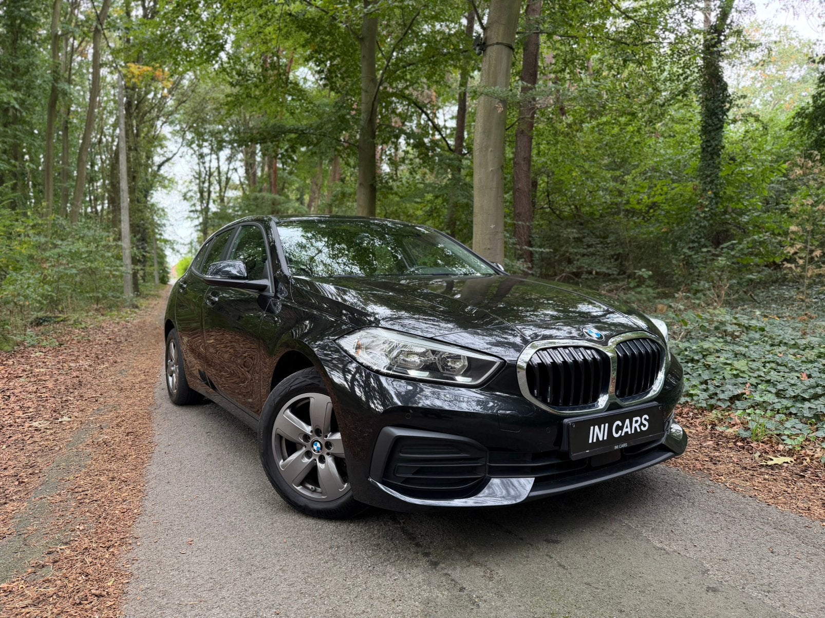 BMW 116d, Auto's, Navigatiesysteem, Euro 6, Zwart, Bedrijf