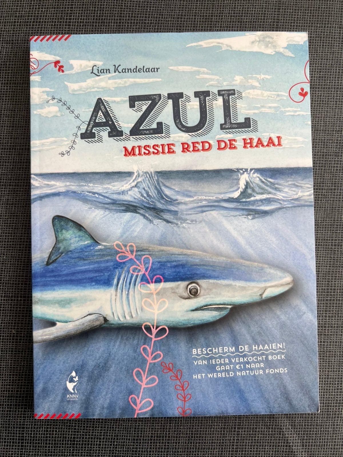 Lian Kandelaar - Azul, Livres, Livres pour enfants | Jeunesse | Moins de 10 ans, Enlèvement ou Envoi, Lian Kandelaar