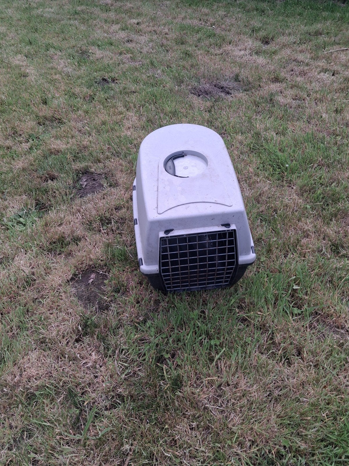 Banc pour chien ou chat et lapin à récupérer gratuitement, Enlèvement