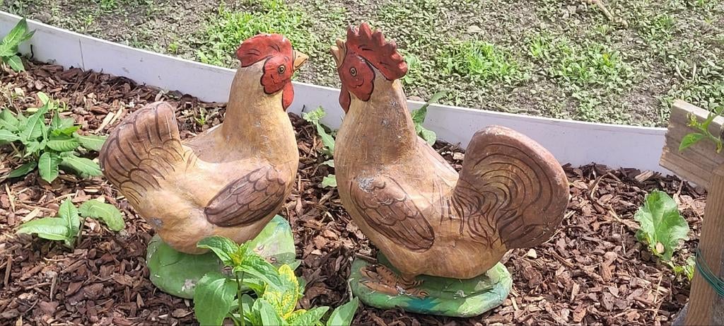 Kippen in papier maché, Tuin en Terras, Tuinbeelden, Ophalen
