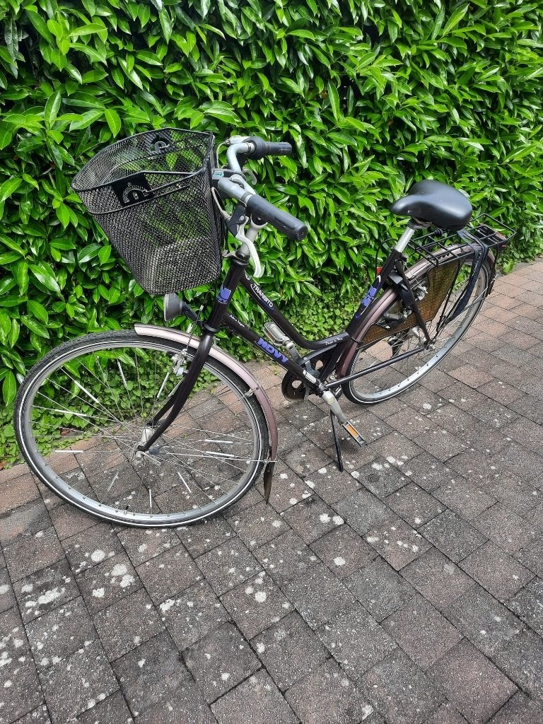 Damesfiets, Fietsen en Brommers, Gebruikt, Velgrem, Versnellingen, Ophalen