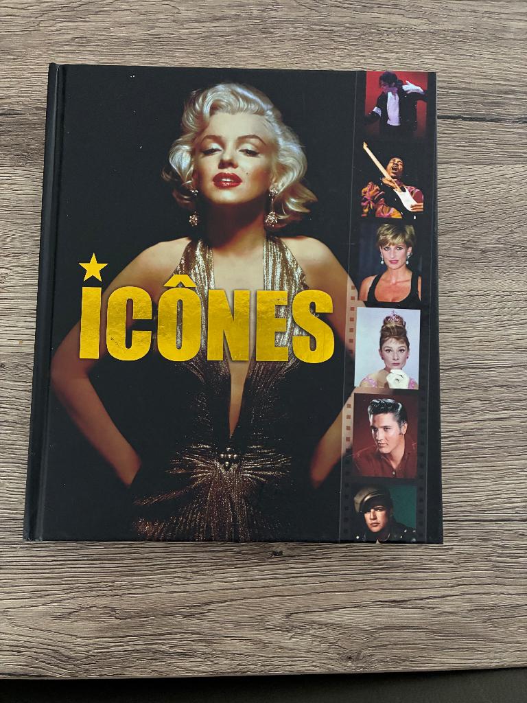 ICONES  DE TOUJOURS, Boeken, Biografieën, Nieuw, Ophalen of Verzenden
