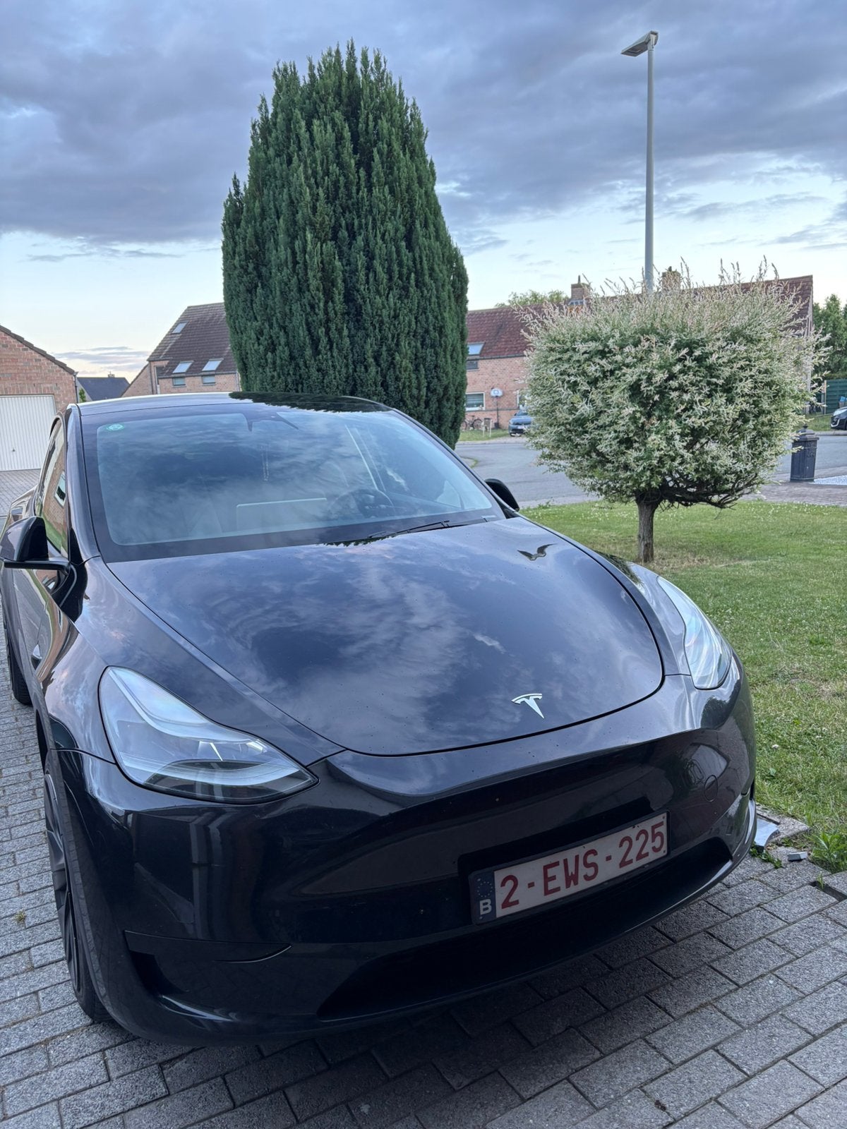 Tesla model y, Autos, Tesla, Achat, Particulier, Model Y, Électrique