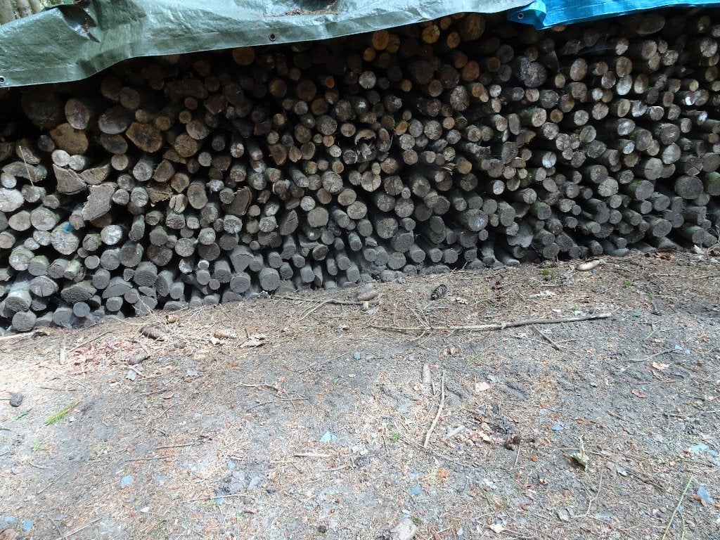 bois de chauffage, Ophalen, Beukenhout