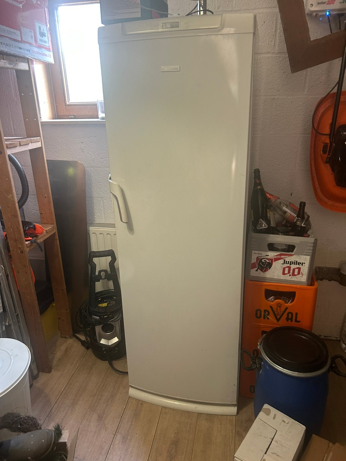 Congélateur Electrolux, 160 cm ou plus, Enlèvement, Utilisé, 200 litres ou plus
