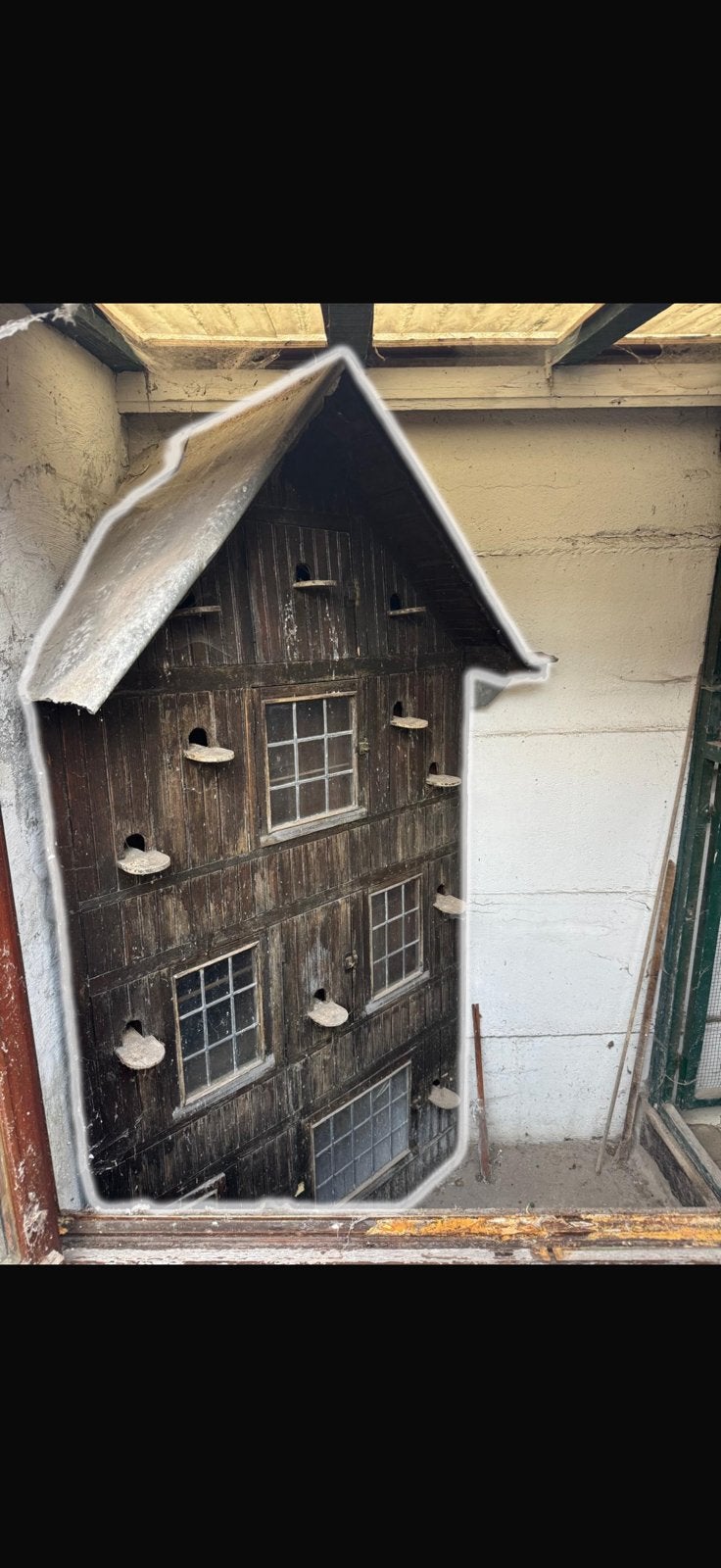 Kanarie huis kooi