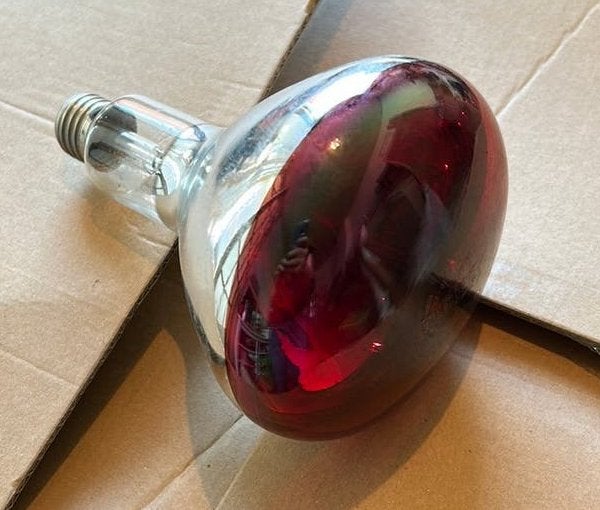 Philips IR 150 – Ampoule Infrarouge 150W, Enlèvement, Ampoule