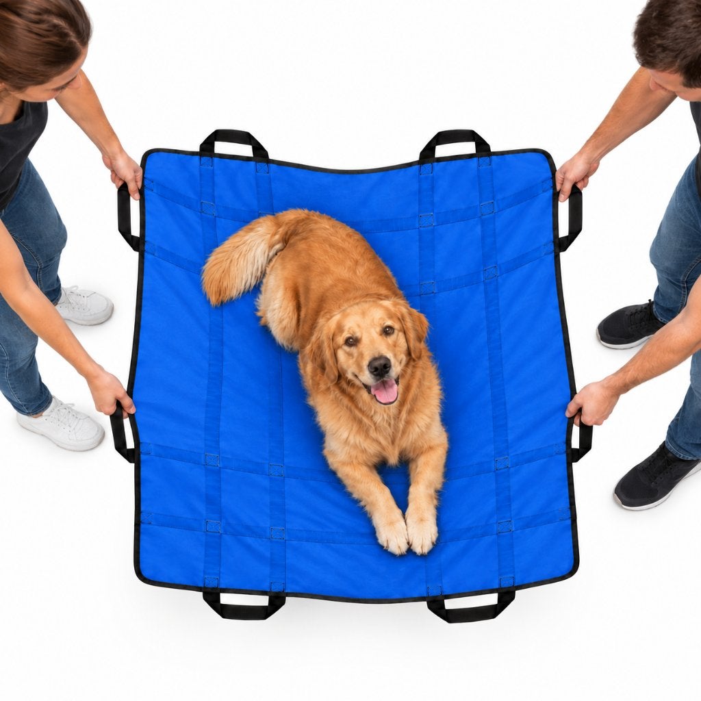 Opvouwbare Brancard – Zachte Stretcher – Draagdoek, Enlèvement ou Envoi, Neuf