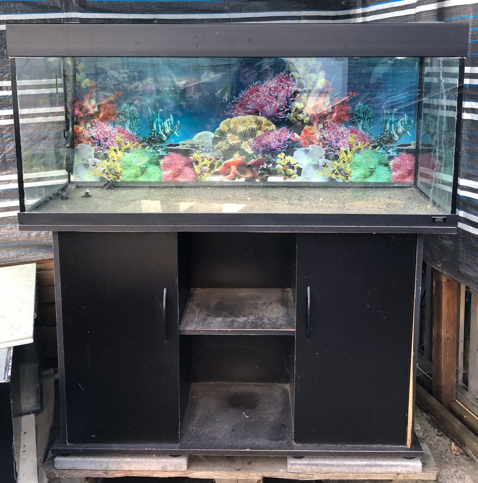 Aquarium, Dieren en Toebehoren, Vissen | Aquaria en Toebehoren, Gebruikt, Leeg aquarium, Juwel, Ophalen