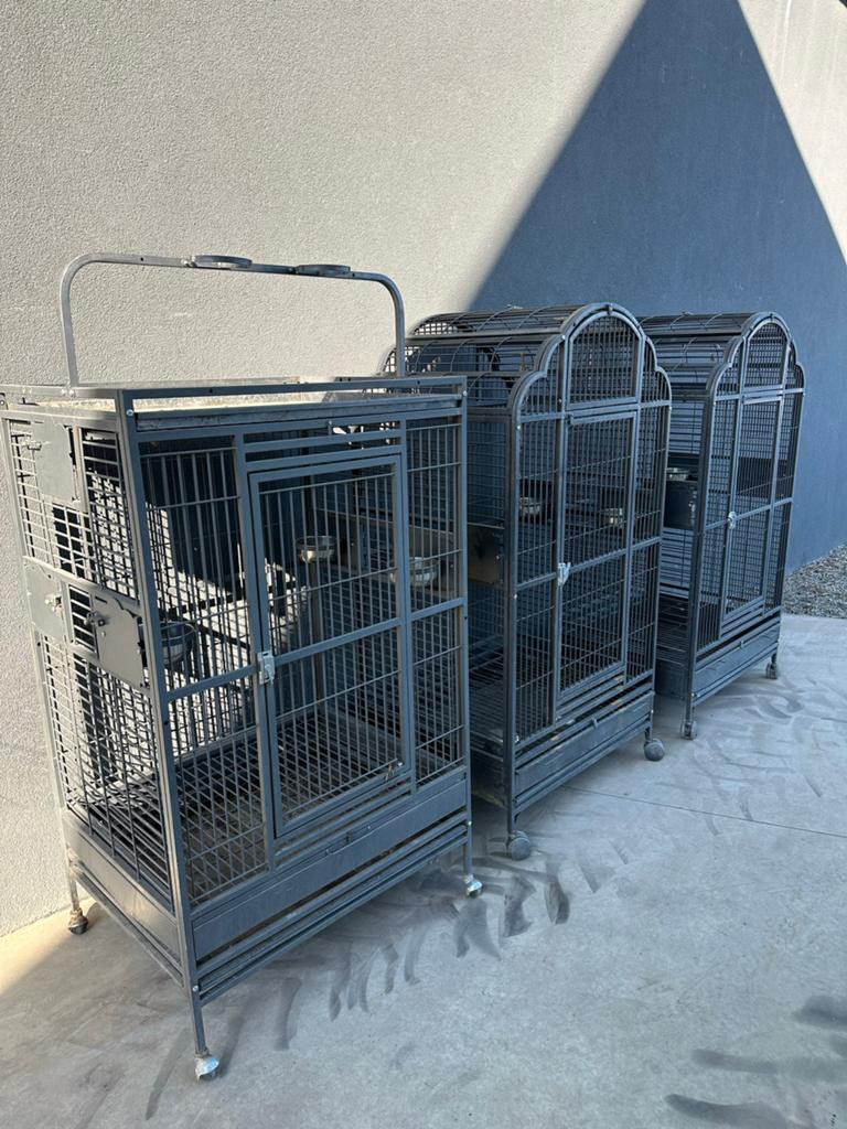 Cage de perroquet, Enlèvement, Utilisé