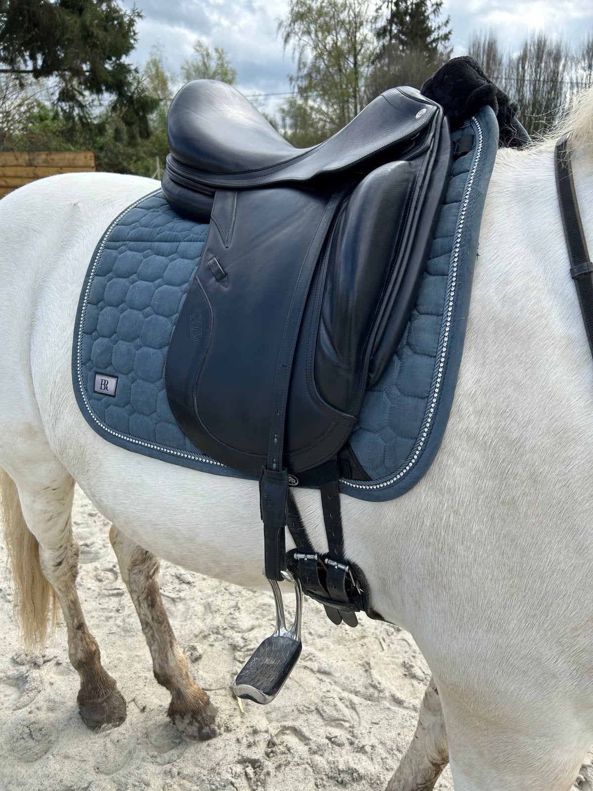 Selle de dressage CWD SE08, Animaux & Accessoires, Housse de selle incluse, Comme neuf, Enlèvement, Dressage