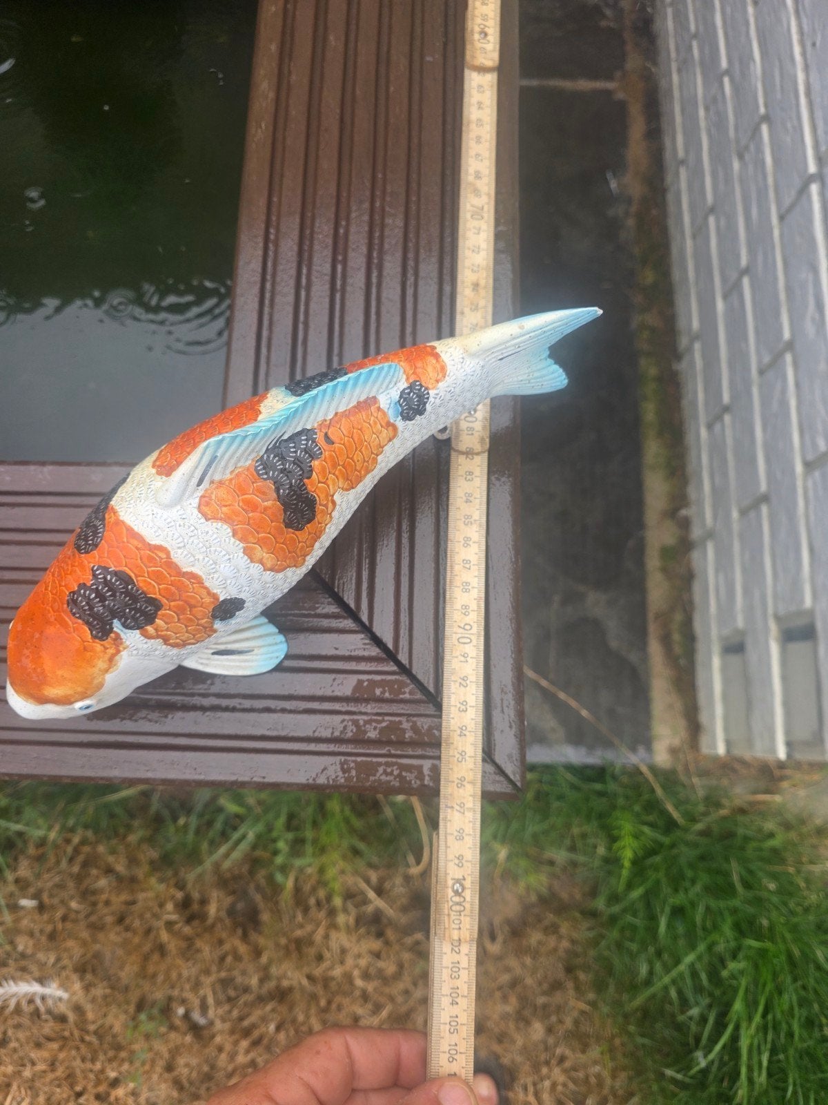 vijver te koop, Dieren en Toebehoren