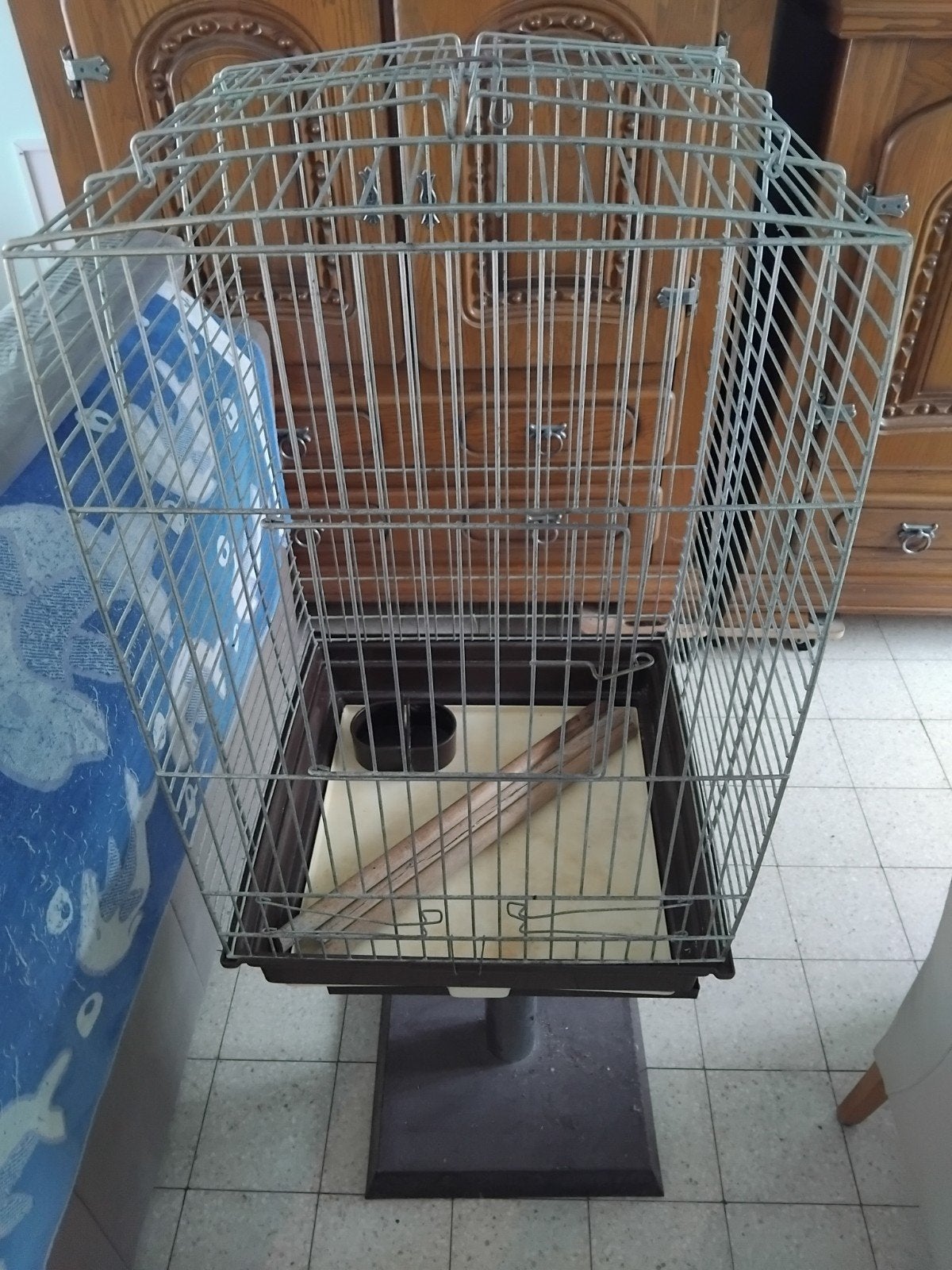 papegaai kooi, Enlèvement, Utilisé, Cage à oiseaux