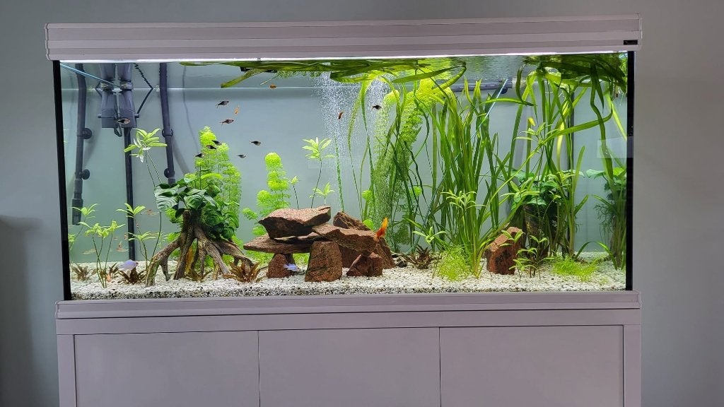 Aquarium, Ophalen, Inclusief vissen, Gebruikt, Filter