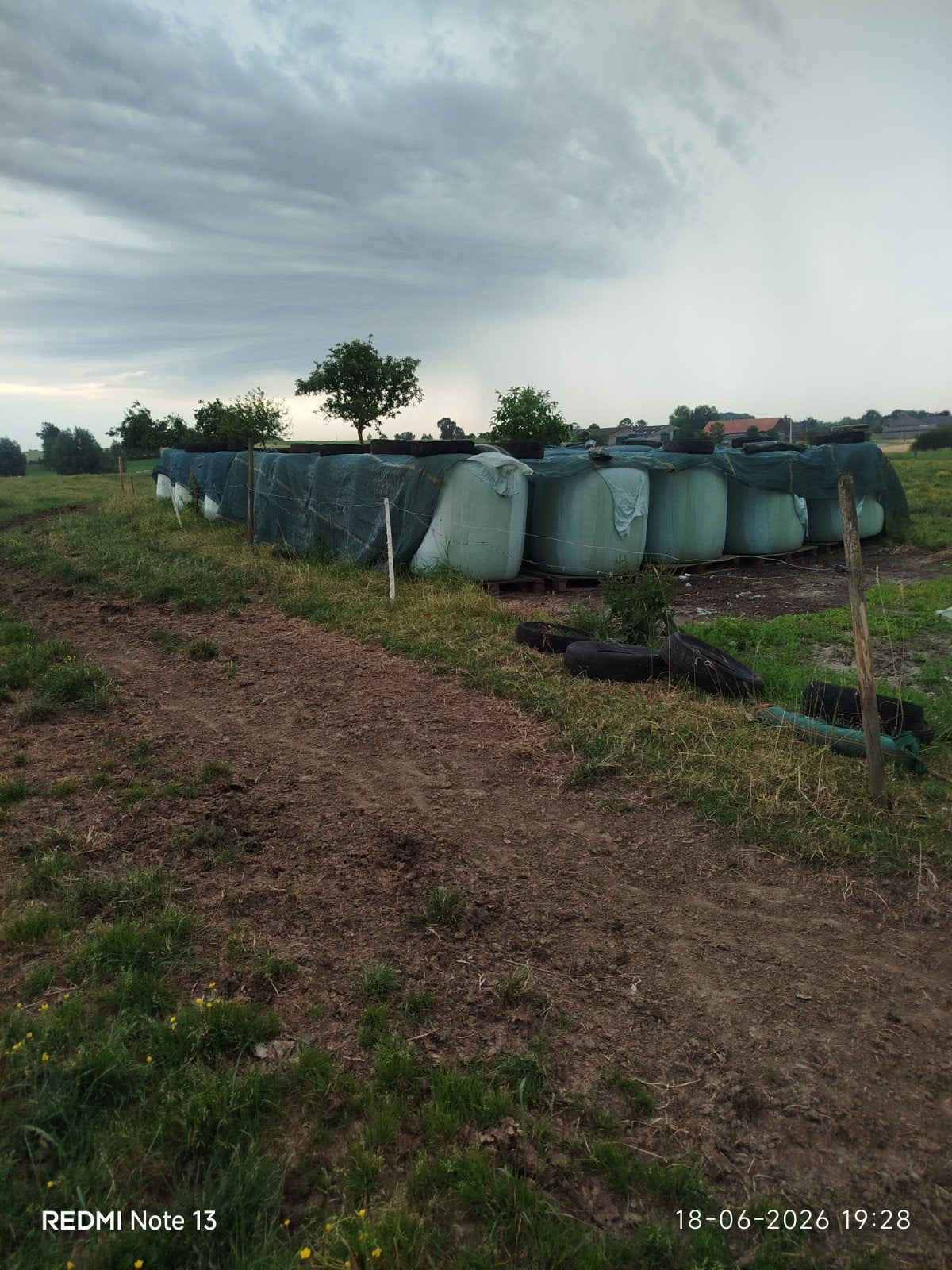 Maisbalen, Zakelijke goederen, Landbouw | Veevoer, Ophalen