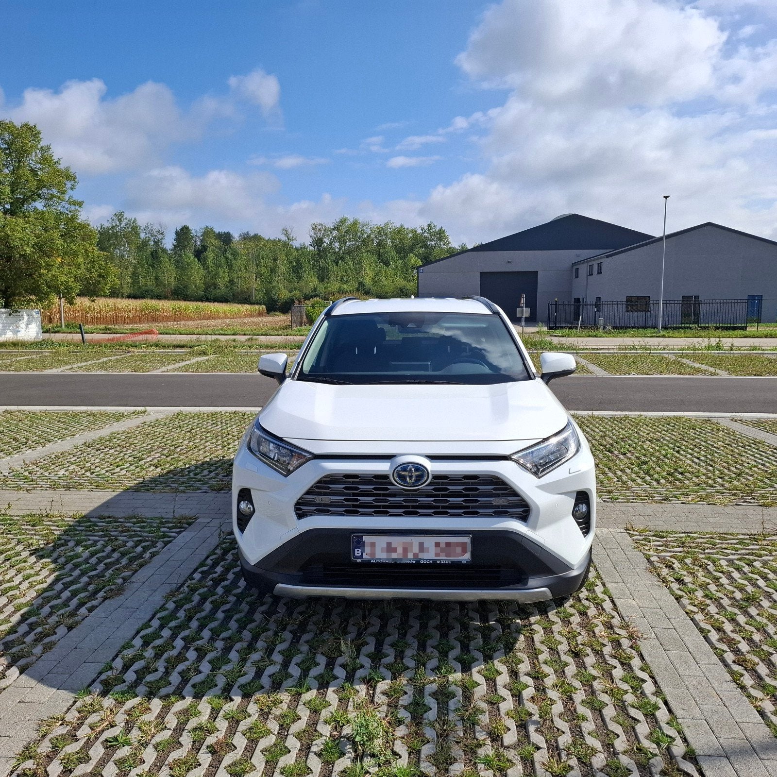 toyota rav4 bj 2020 hybride, Stof, Euro 6, Wit, 5 deurs
