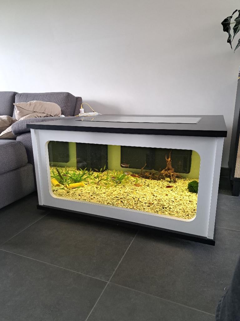 Aquarium salontafel, Animaux & Accessoires, Poissons | Aquariums & Accessoires, Enlèvement