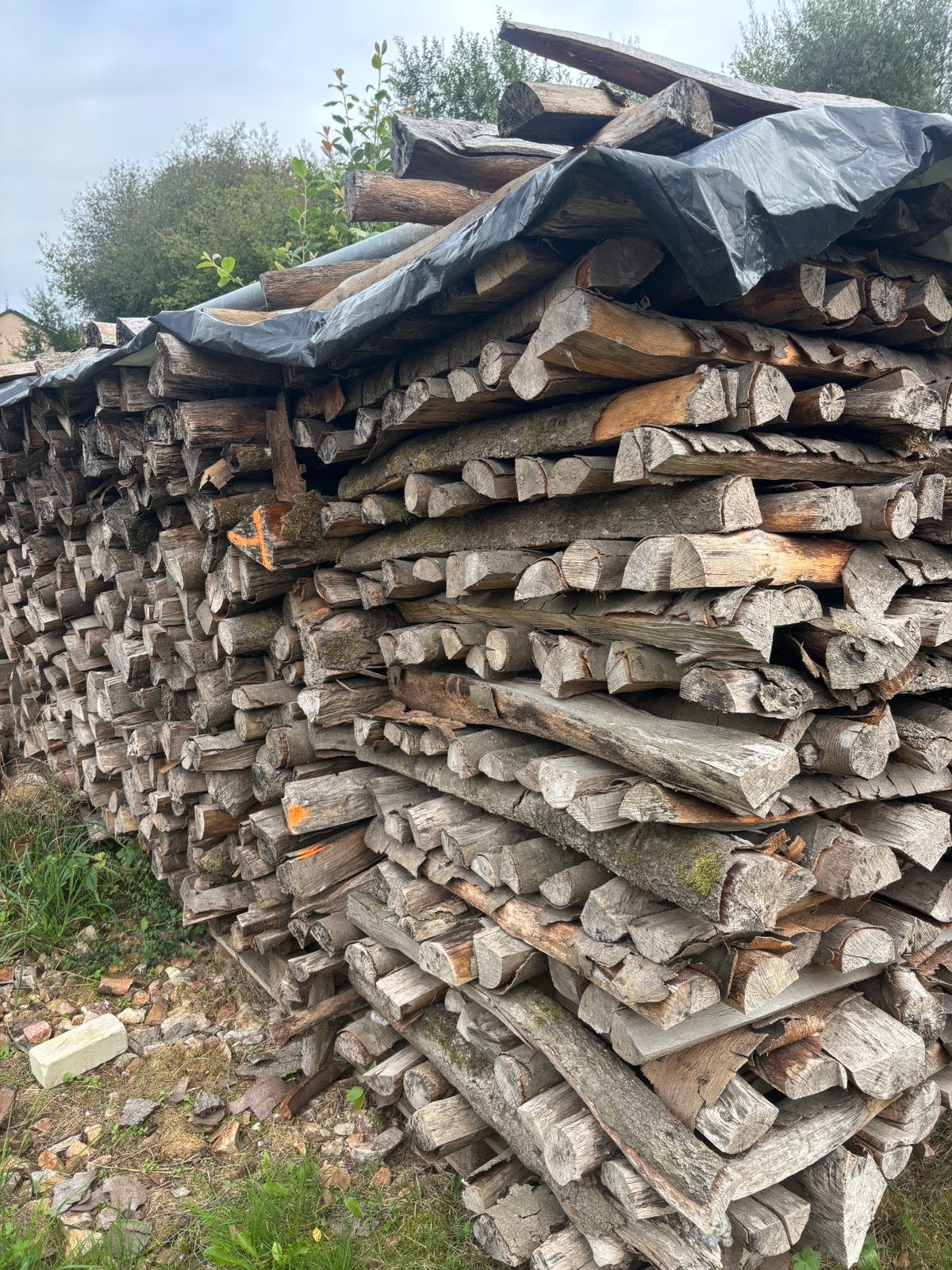 Bois de chauffage, Enlèvement ou Envoi