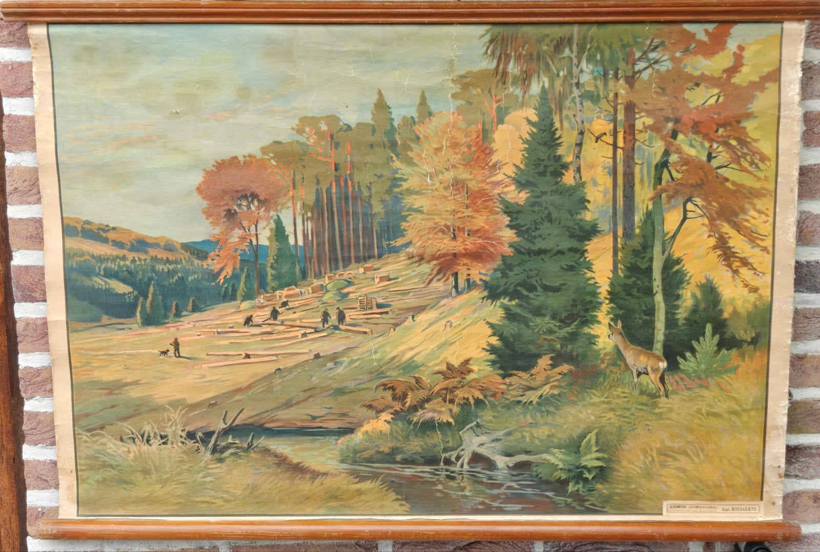 Antieke schoolplaat 95x66,5cm met latten (doek 90x61), Ophalen of Verzenden, Natuur en Biologie