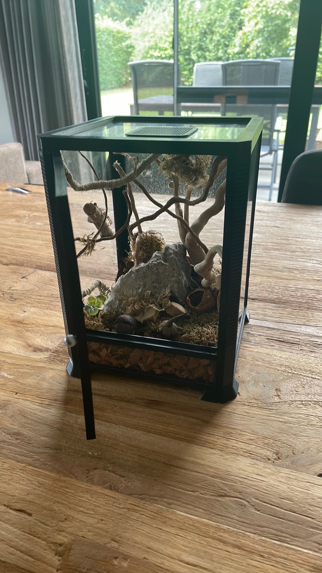 Terrarium 25x18x18, Ophalen, Zo goed als nieuw