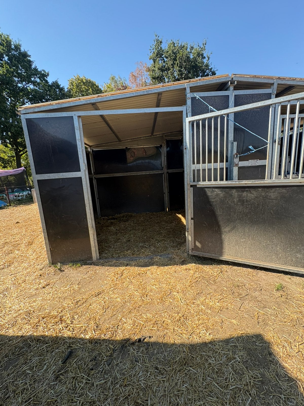 Plaatsje aangebooden in kudden