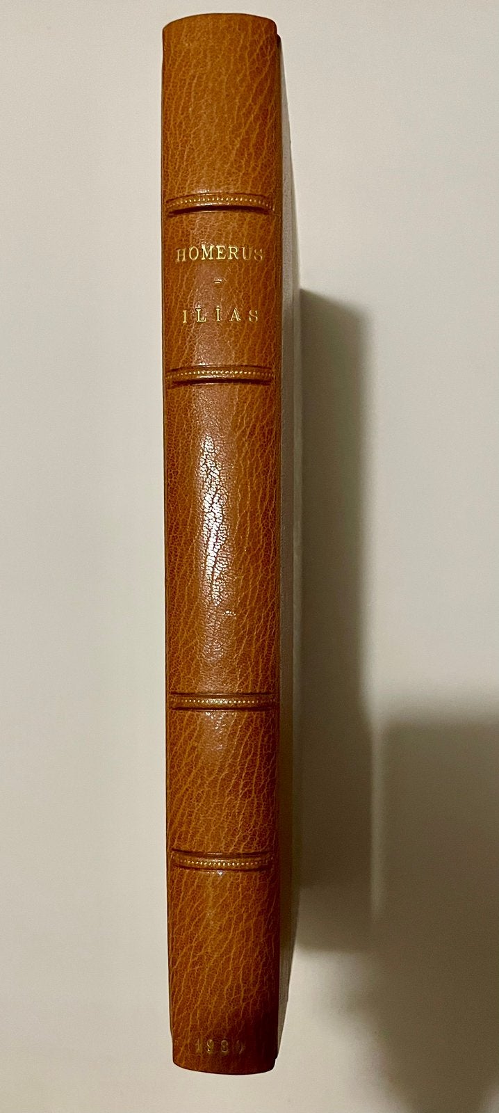 Homerus - Ilias - 1980, Boeken, Ophalen of Verzenden, Zo goed als nieuw