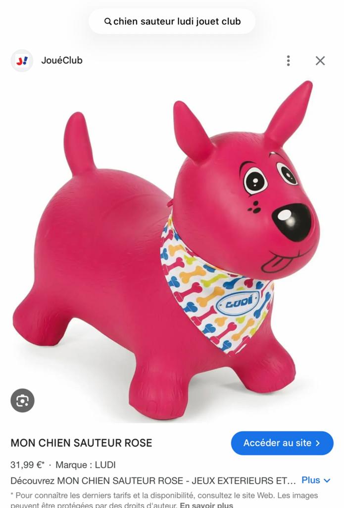 Chien sauteur LUDI, Kinderen en Baby's, Speelgoed | Buiten | Opblaasfiguren, Ophalen, Zo goed als nieuw