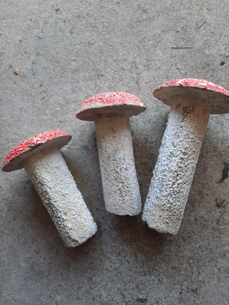 Champignons, Enlèvement