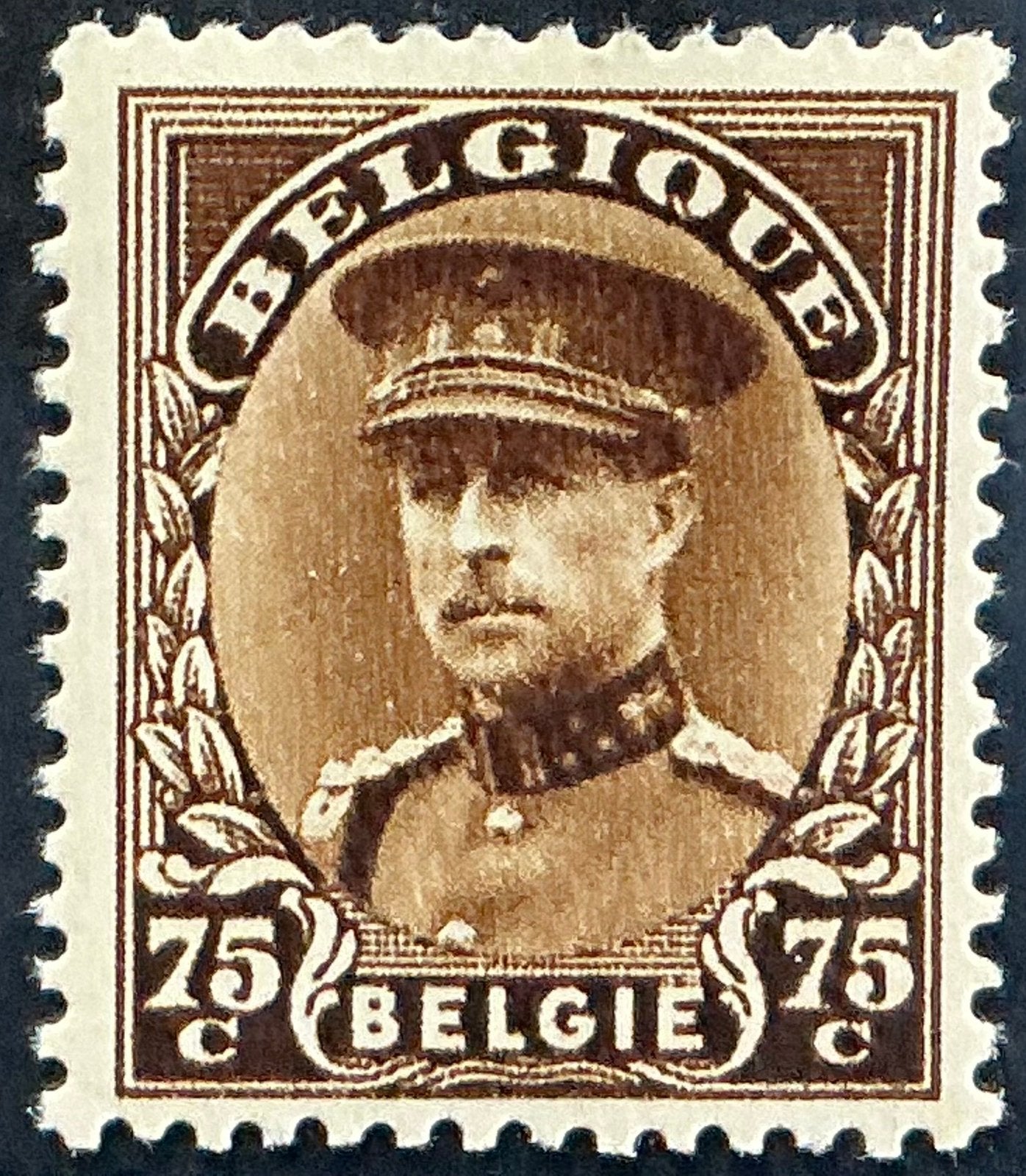 LOT 856. COB : 341. ALBERT I. MINH. **, Neuf, Enlèvement ou Envoi, Non oblitéré, Gomme originale
