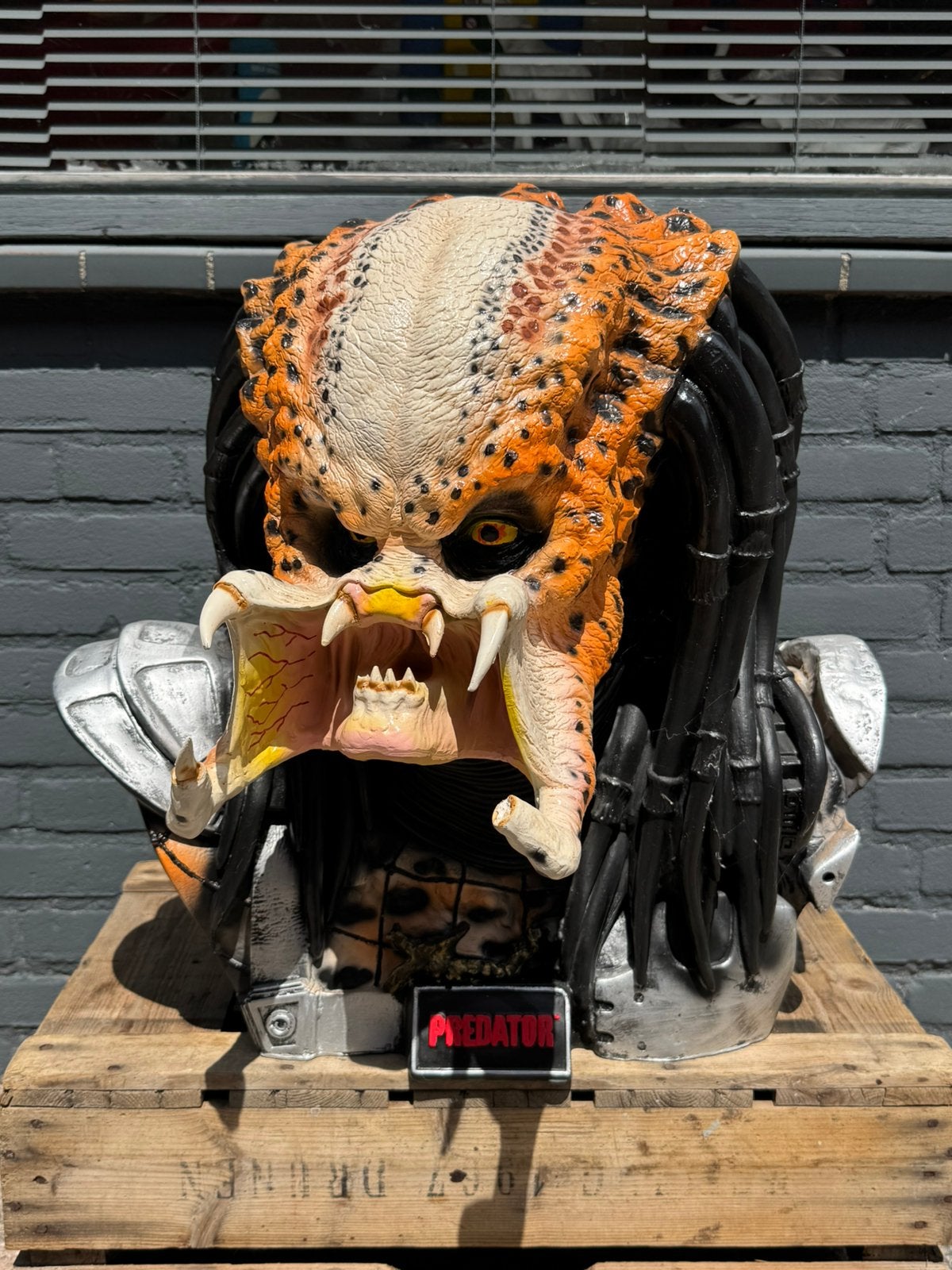 Predator groot Buste Beeld, Ophalen, Zo goed als nieuw, Film, Beeldje, Replica of Model