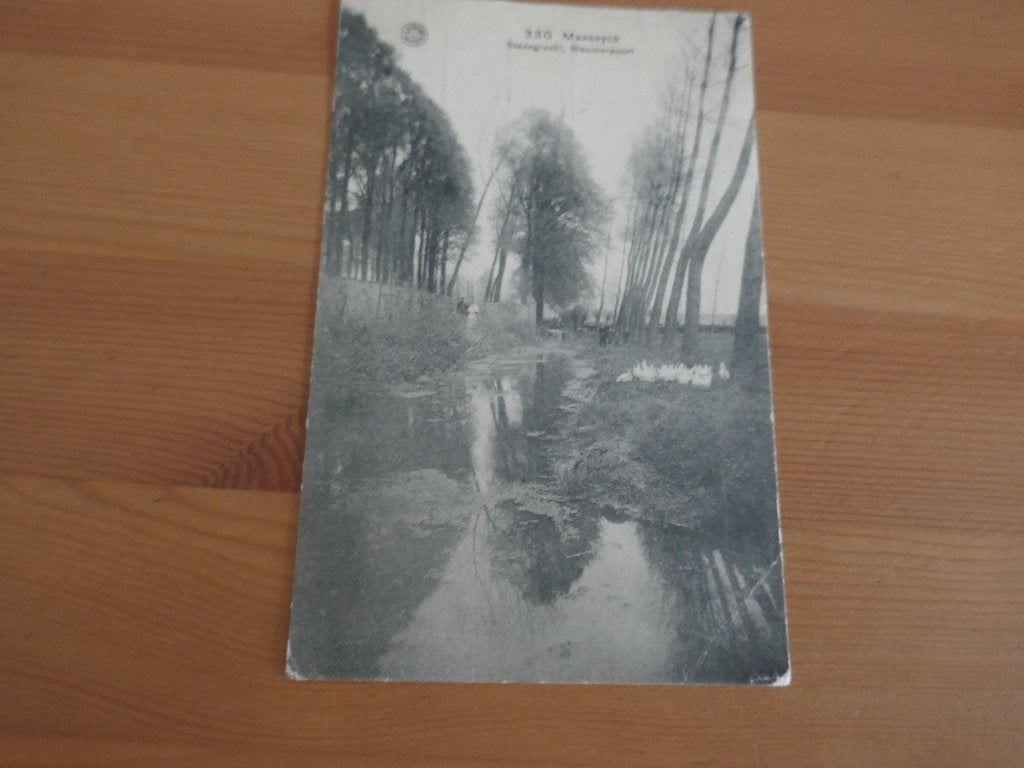 maaseik maeseyck stadsgracht -bieumerpoort, Envoi, Affranchie, Limbourg