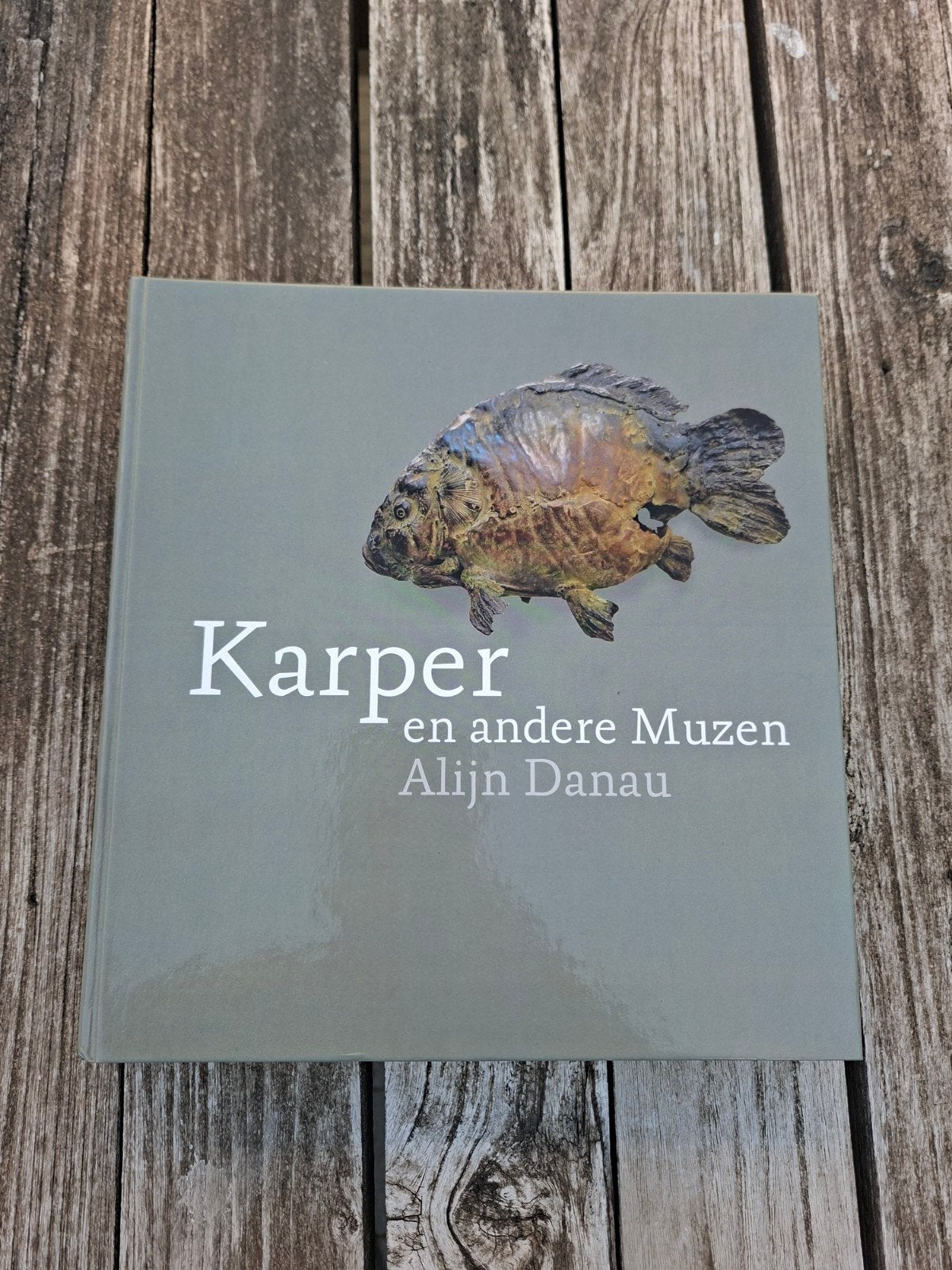 Boek Karper en andere muzen Alijn Danau, Watersport en Boten, Hengelsport | Karpervissen, Ophalen of Verzenden, Gebruikt, Overige typen