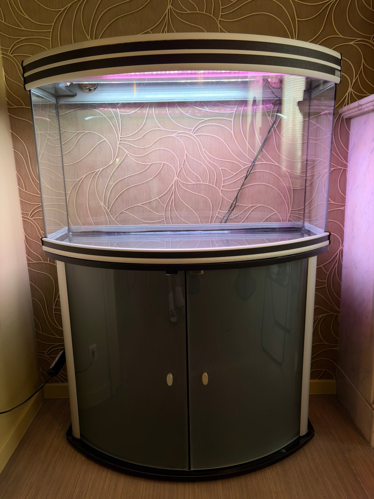 Te koop: Aqualantis Evasion Horizon 100 – 230L, Ophalen, Verwarming, Zo goed als nieuw, Eheim