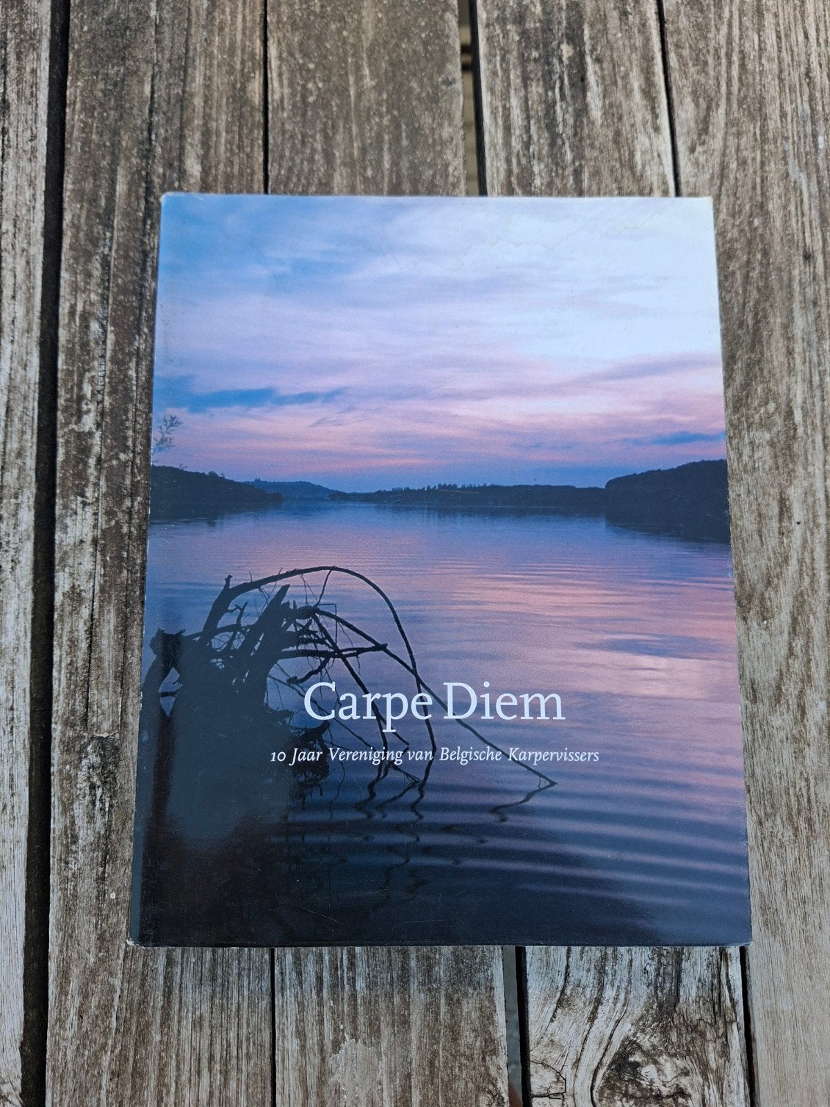 Carpe Diem Vbk, Ophalen of Verzenden, Zo goed als nieuw, Overige typen
