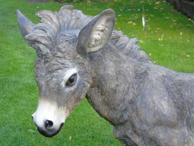 ezelbeeld van polyresin, H 80 X B 1m10, uitverkocht!, Tuin en Terras, Tuinbeelden, Ophalen, Nieuw, Kunststof, Dierenbeeld