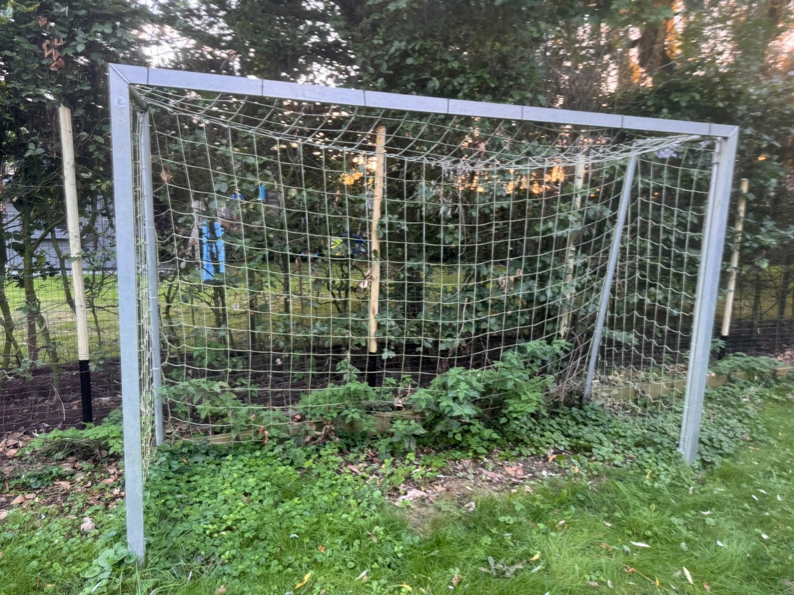 2 doelen van Jannsen Fritsen, Sport en Fitness, Ophalen