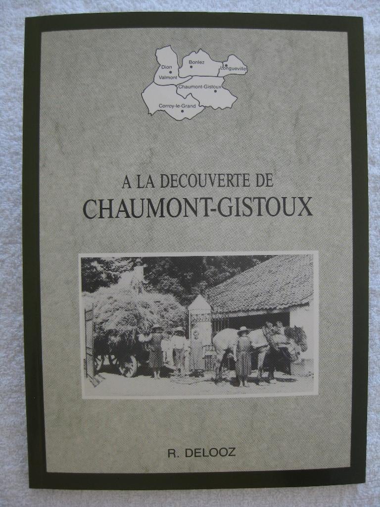 Brabant wallon - Chaumont-Gistoux – Roger Delooz - 2002, Enlèvement ou Envoi, Utilisé