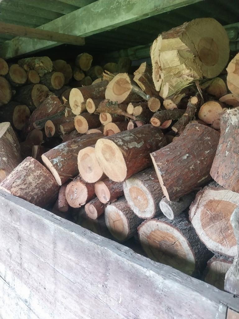 Droog brandhout den, Ophalen, Eikenhout