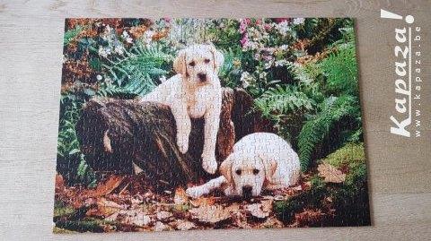 Puzzel labradors 500 stuks, Kinderen en Baby's, Speelgoed | Kinderpuzzels, Ophalen of Verzenden, Meer dan 50 stukjes, Zo goed als nieuw