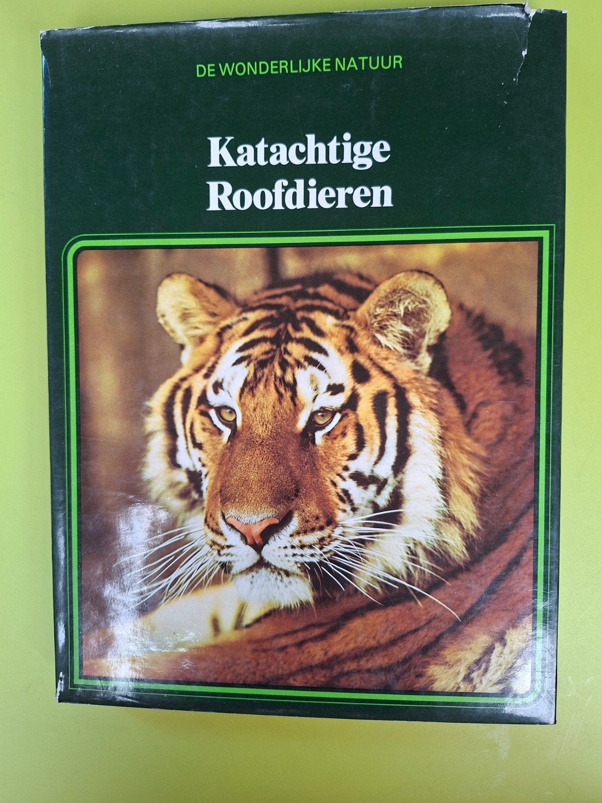 Katachtige roofdieren, Boeken, Dieren en Huisdieren, Ophalen