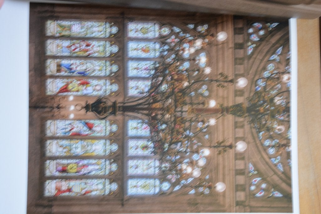 Provinciaal Hof Brugge Open Huis, Boeken, Ophalen, Nieuw, Overige onderwerpen, Jeroen Cornilly e.a.