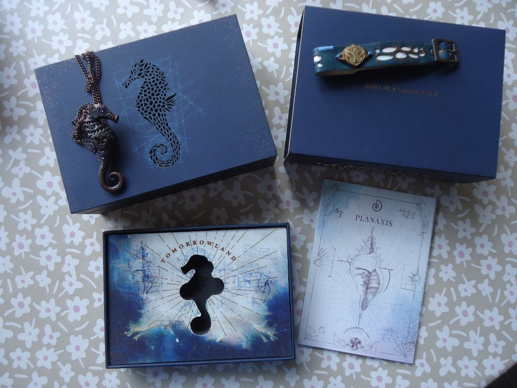 Tomorrowland case 2018 ( met bandje )