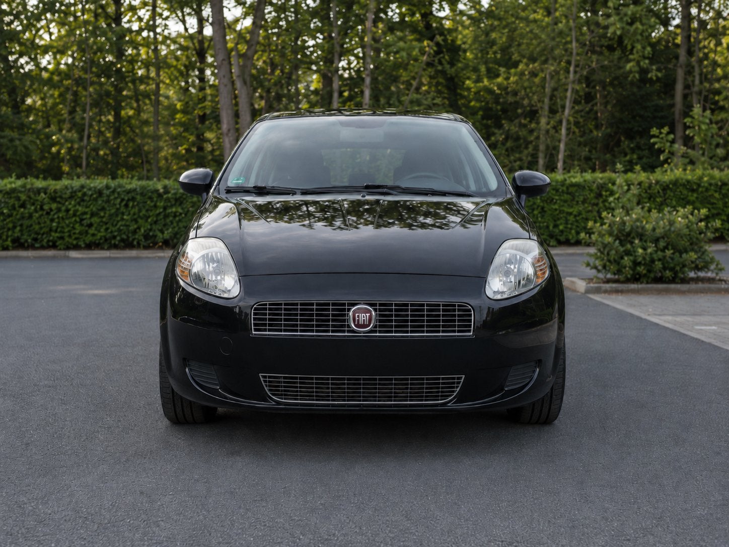 Fiat Grande Punto 1.4i 8v, 57 kW, Zwart, Grande Punto, Zwart