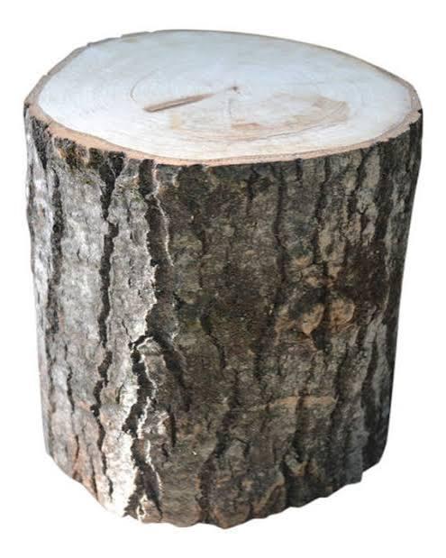 Gezocht: boomstronken/nagelblok/brandhout, Jardin & Terrasse, Bois de chauffage, Moins de 3 m³, Enlèvement, Autres essences de bois