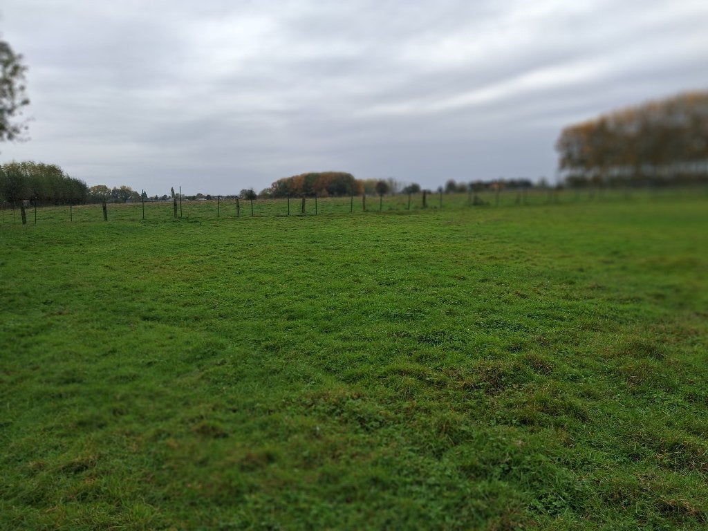 weide met schuilhok te huur, 1 paard of pony