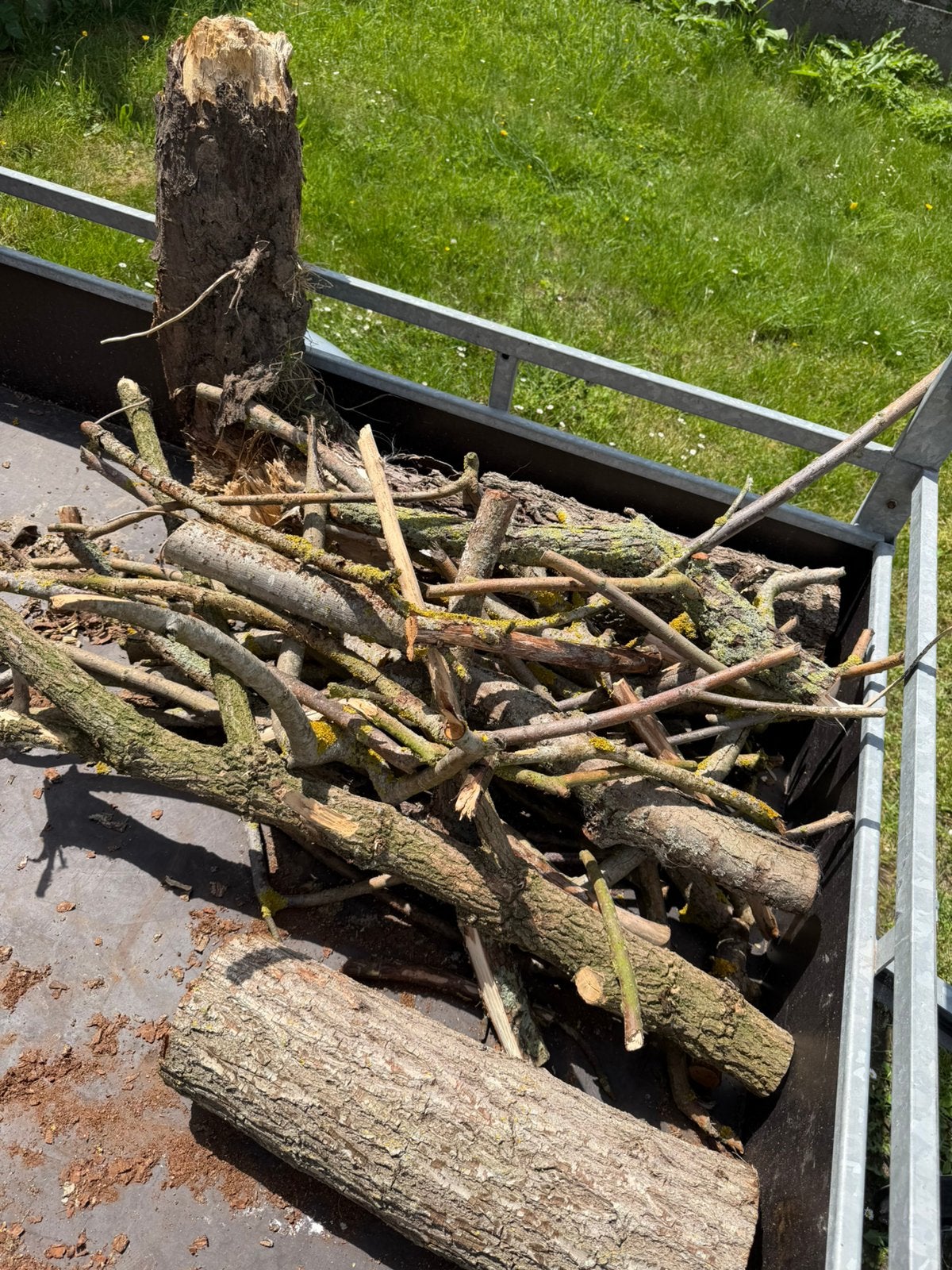 Brandhout Gratis, Ophalen, Overige houtsoorten, Takken