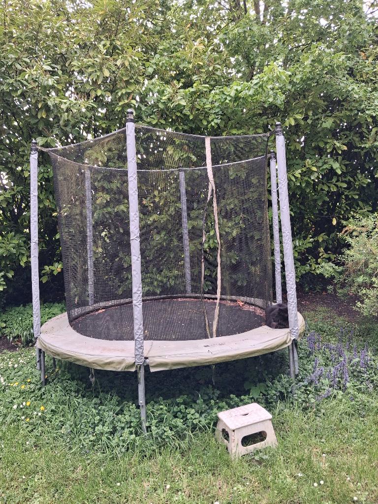 Trampoline avec filet de sécurité, Enlèvement