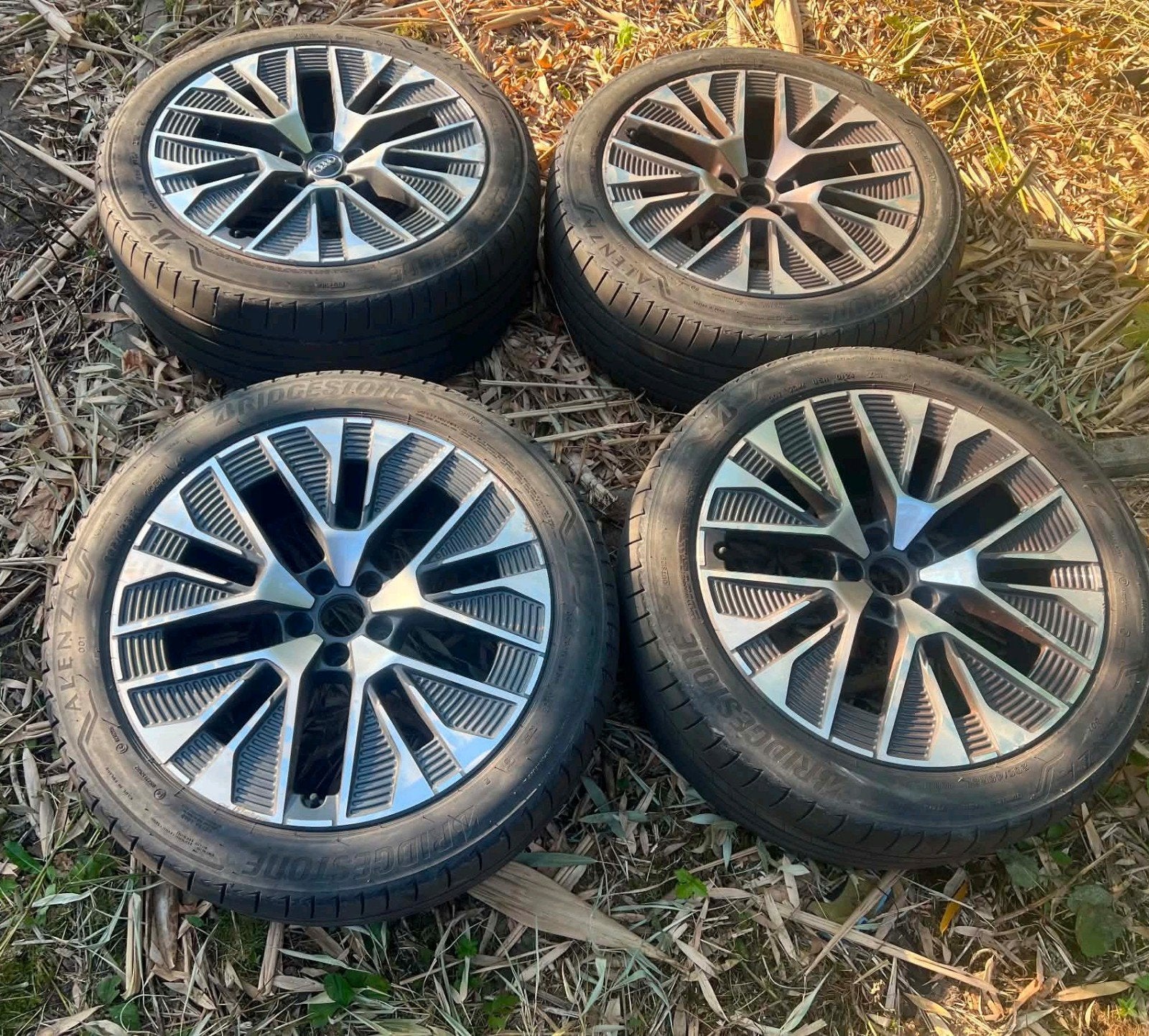 21 inch Originele Audi E-tron Q8 Velgen met Zomerbanden, Gebruikt, 265 mm, Banden en Velgen, Personenwagen