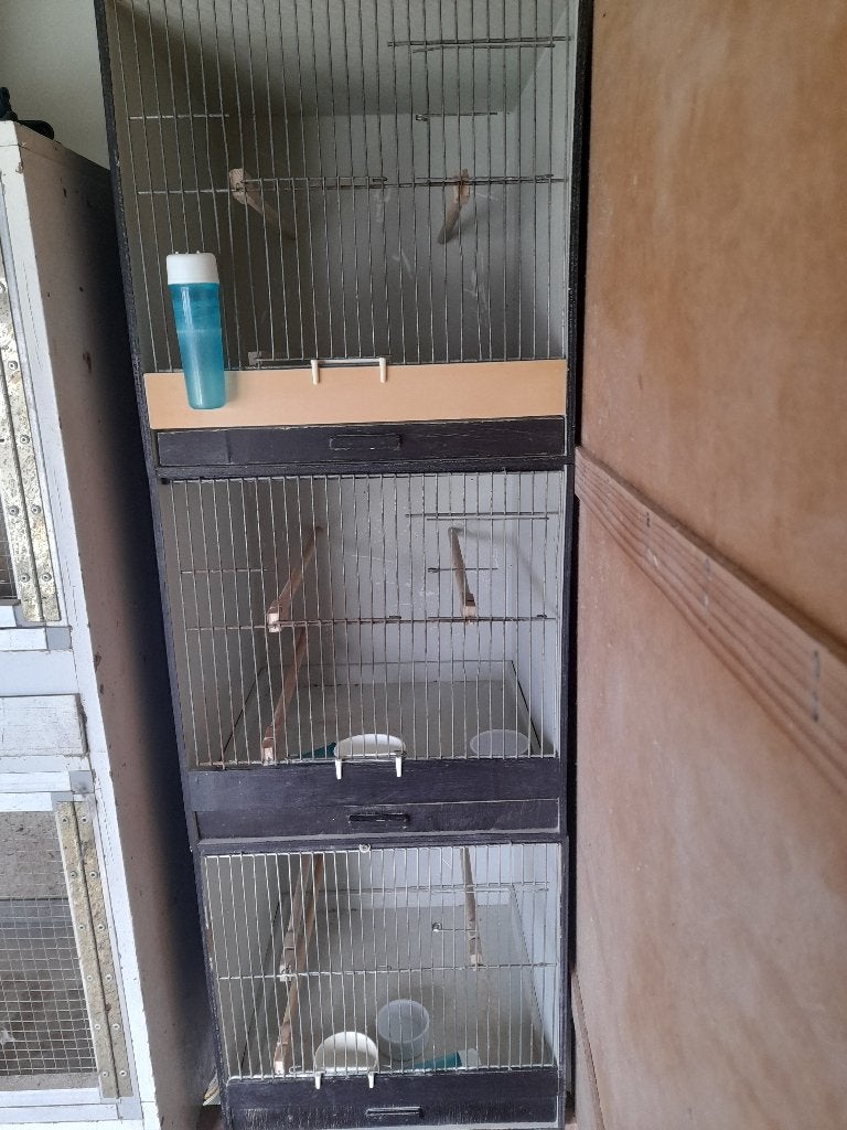 Vogelbenodigheden, Ophalen, Gebruikt, Hout